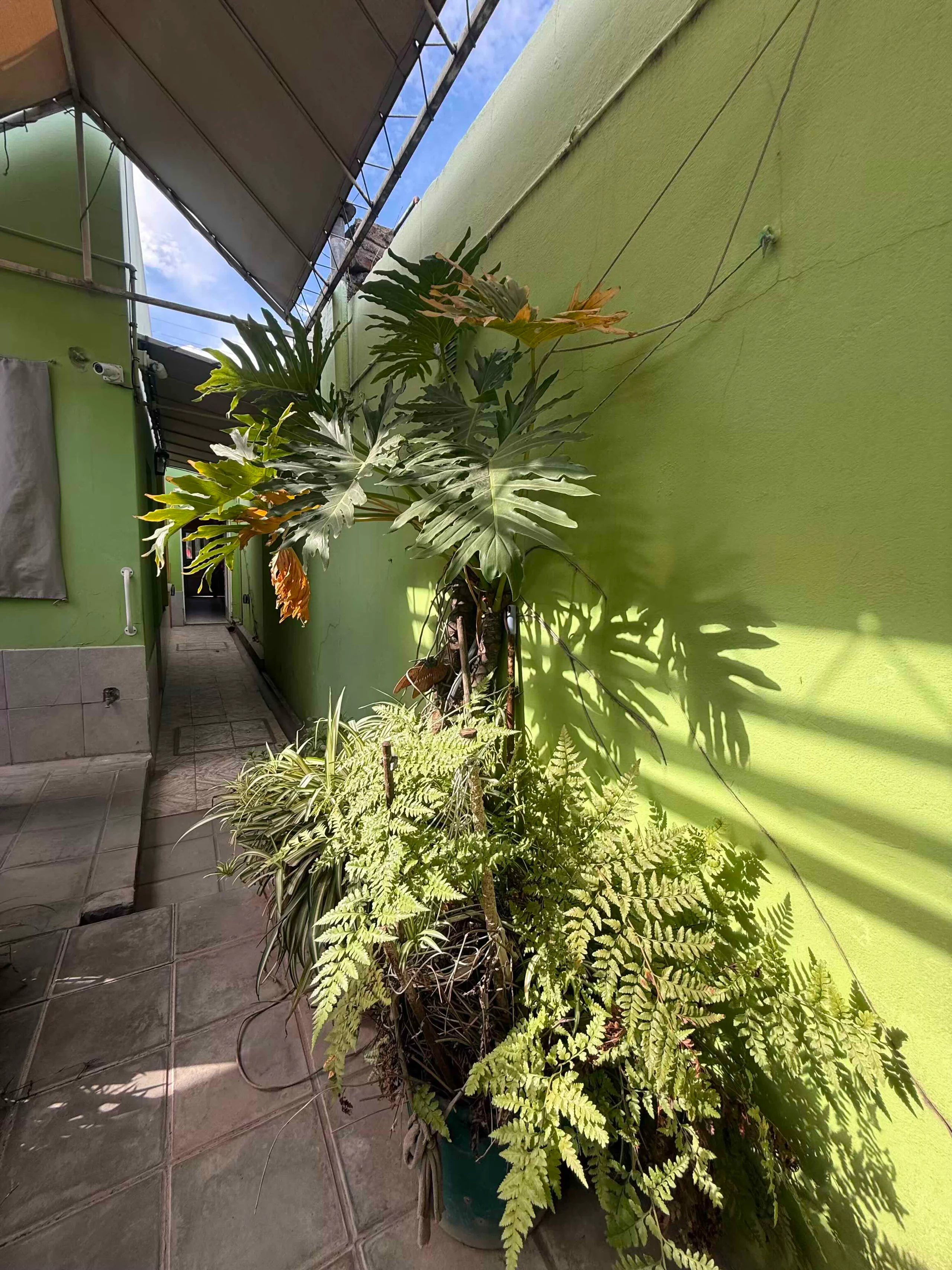 CASA EN VENTA - Imagen 9