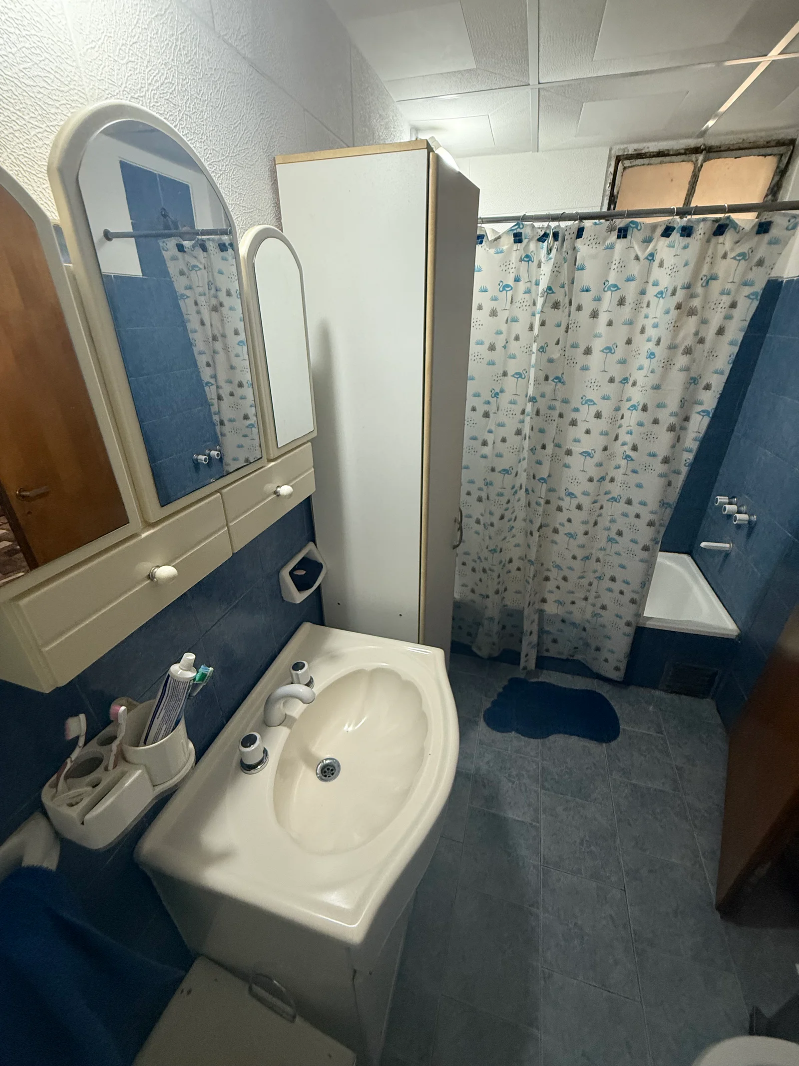 CASA EN VENTA CHICLANA 1742, BAHIA BLANCA - Imagen 5