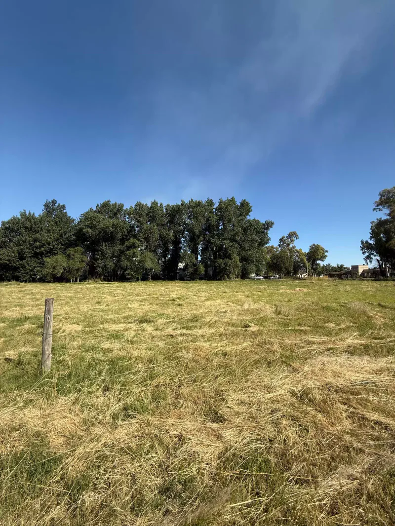 TERRENO EN VENTA