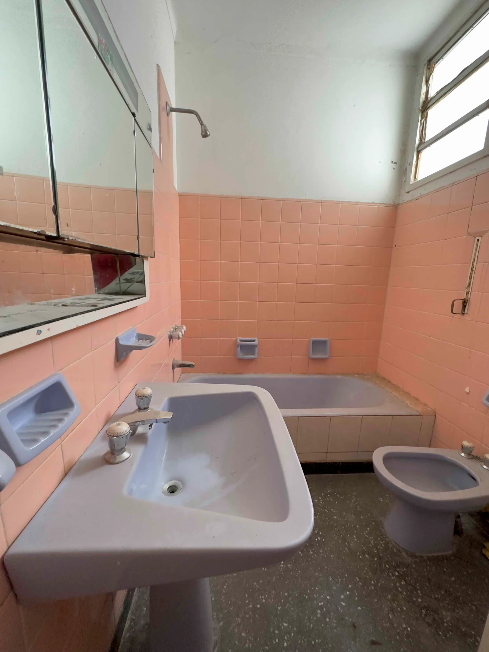 LOTE CON CASA Y COCHERA EN VENTA - Imagen 3